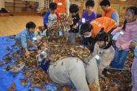 2025もりっこ秋冬 (2).JPG